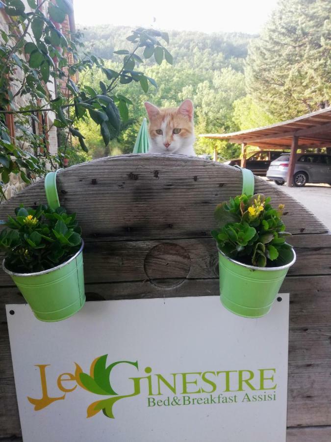 Le Ginestre Apartments Асизи Екстериор снимка